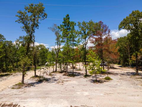 2490 Black Oak Rd, Perry, FL 32348 photo 8