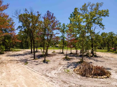 2490 Black Oak Rd, Perry, FL 32348 photo 5
