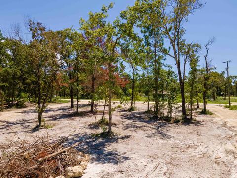 2490 Black Oak Rd, Perry, FL 32348 photo 6