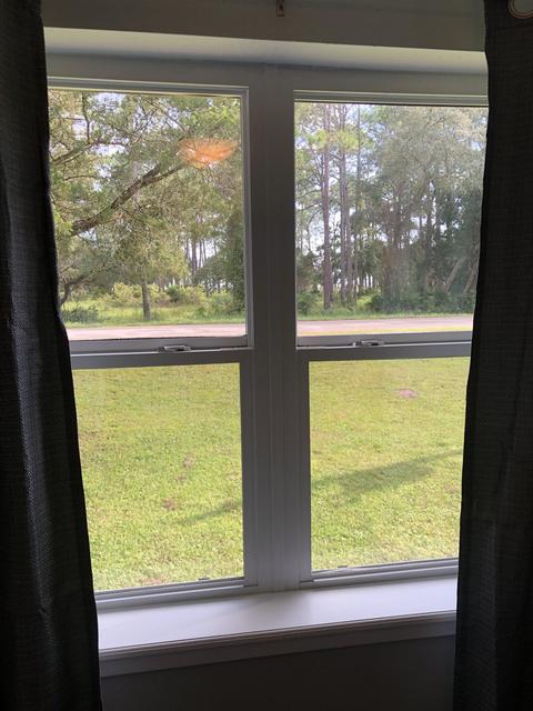 1466 Ezell Beach Rd, Perry, FL 32348 photo 18