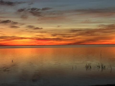 1466 Ezell Beach Rd, Perry, FL 32348 photo 34