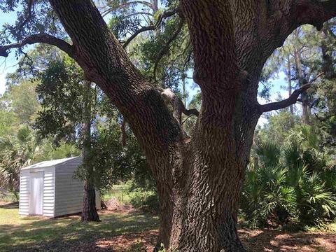 1466 Ezell Beach Rd, Perry, FL 32348 photo 28