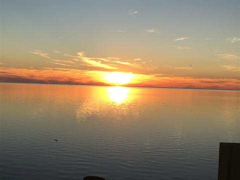 1466 Ezell Beach Rd, Perry, FL 32348 photo 35