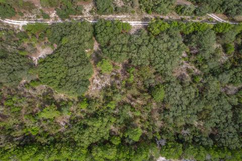 15411 Seagrass Dr, Perry, FL 32348 photo 19