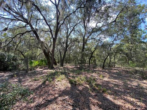 15411 Seagrass Dr, Perry, FL 32348 photo 8