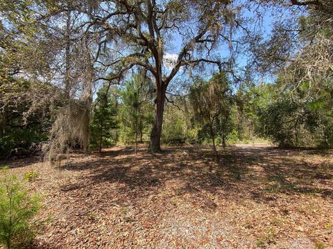 15411 Seagrass Dr, Perry, FL 32348 photo 16