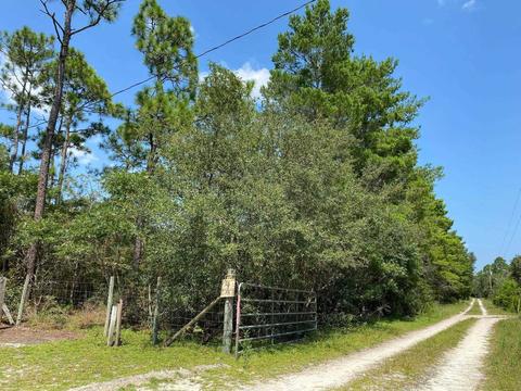 15411 Seagrass Dr, Perry, FL 32348 photo 3