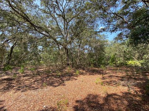 15411 Seagrass Dr, Perry, FL 32348 photo 6