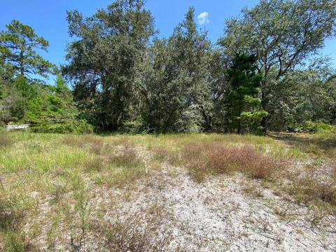 15411 Seagrass Dr, Perry, FL 32348 photo 10