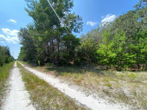 15411 Seagrass Dr, Perry, FL 32348 photo 4