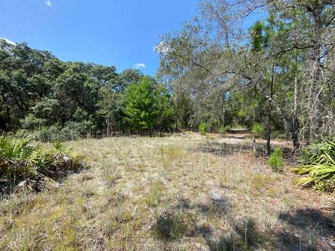 15411 Seagrass Dr, Perry, FL 32348 photo 14