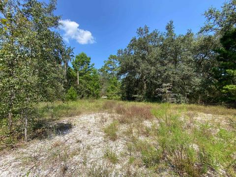 15411 Seagrass Dr, Perry, FL 32348 photo 12
