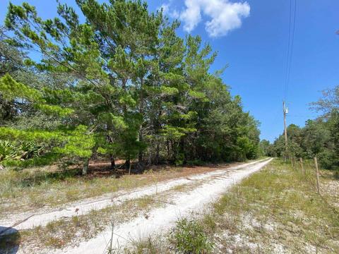 15411 Seagrass Dr, Perry, FL 32348 photo 5