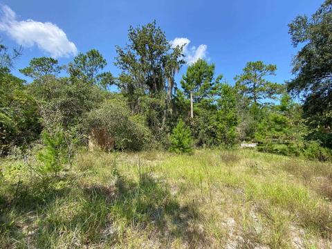 15411 Seagrass Dr, Perry, FL 32348 photo 11