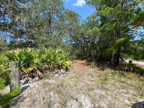 15411 Seagrass Dr, Perry, FL 32348 photo 7