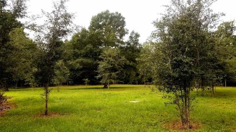 25863 89th Rd, O Brien, FL 32071 photo 13