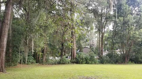 3849 Foley Cutoff Rd, Perry, FL 32347 photo 30