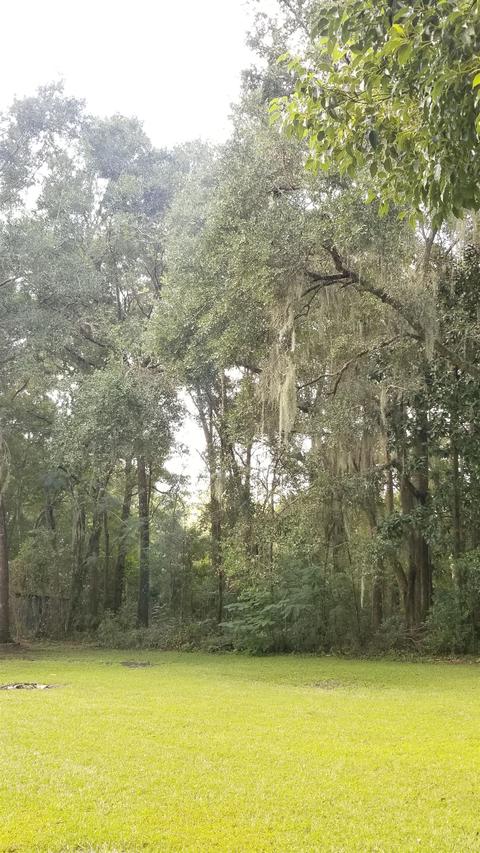 3849 Foley Cutoff Rd, Perry, FL 32347 photo 29