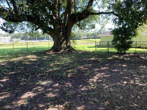703 W Duval St, Perry, FL 32347 photo 16