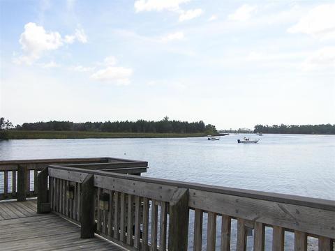 243 Fire Escape Rd, Saint Marks, FL 32355 photo 26