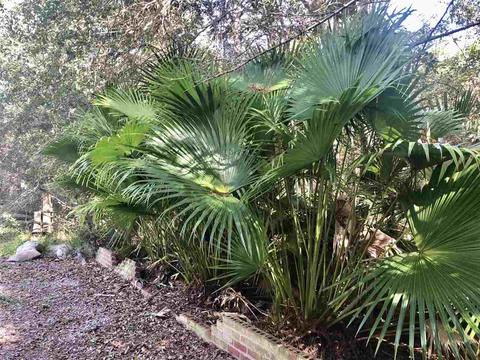 243 Fire Escape Rd, Saint Marks, FL 32355 photo 25