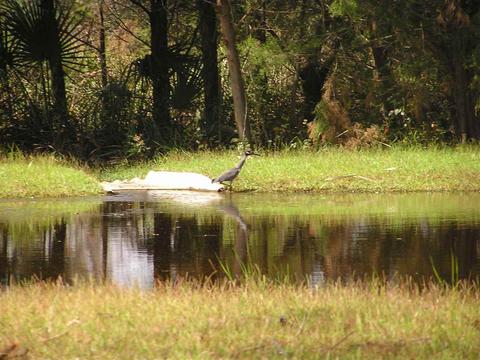 243 Fire Escape Rd, Saint Marks, FL 32355 photo 32