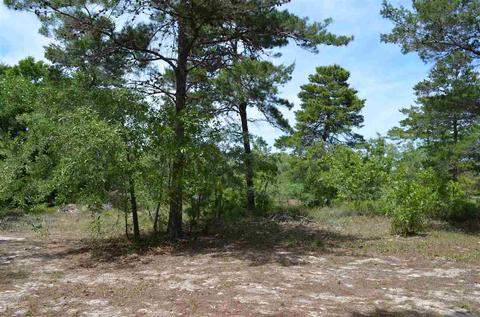 66 N Buck Ct, Perry, FL 32348 photo 10