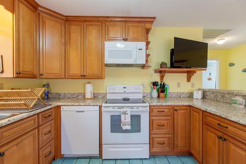 5546 SW 358 Hwy, Steinhatchee, FL 32359 photo 8