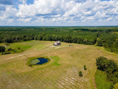 4179 Preston Sheffield Rd, Perry, FL 32347 photo 5