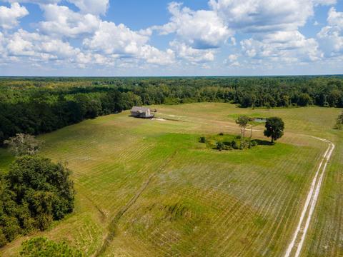 4179 Preston Sheffield Rd, Perry, FL 32347 photo 4