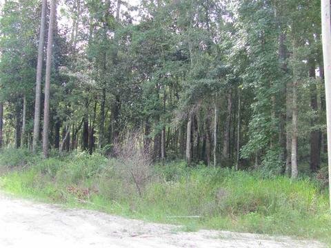 Williams Drive, Sopchoppy, FL 32358