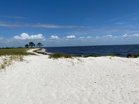 54 Pompano Dr, Panacea, FL 32346 photo 31