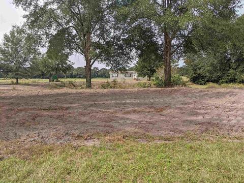 1333 NE Cr 255, Lee, FL 32059 photo 3