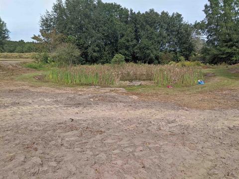 1333 NE Cr 255, Lee, FL 32059 photo 18