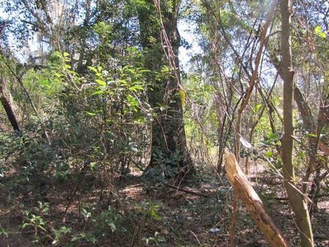 1218 E Us 90, Madison, FL 32340 photo 10
