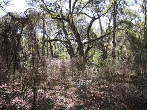 1218 E Us 90, Madison, FL 32340 photo 11