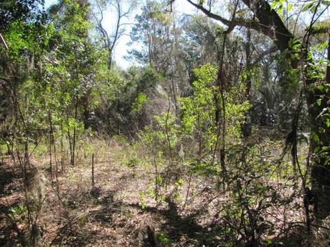 1218 E Us 90, Madison, FL 32340 photo 9