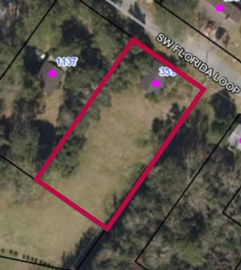359 SW Florida Loop, Madison, FL 32340 photo 2