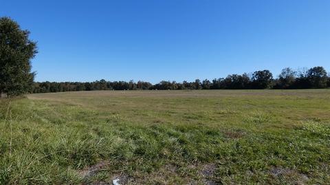 tbd S Jefferson St, Lamont, FL 32336 photo 2