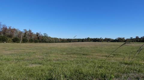 Tbd S Jefferson Street, Lamont, FL 32336