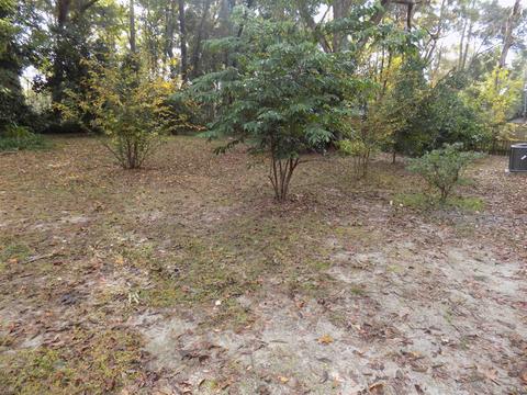 3821 Cottingham Dr, Tallahassee, FL 32303 photo 15