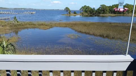 23 Heron Dr, Panacea, FL 32346 photo 3