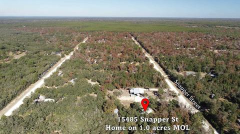 15485 Snapper, Perry, FL 32348 photo 3