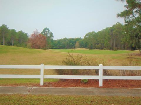 120 Spoonbill Ct, Carrabelle, FL 32322 photo 2