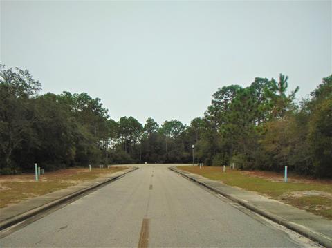 120 Spoonbill Ct, Carrabelle, FL 32322 photo 6