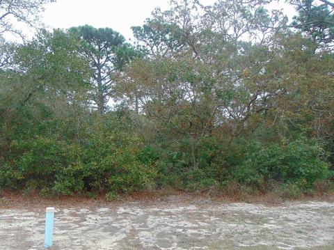 120 Spoonbill Ct, Carrabelle, FL 32322 photo 1