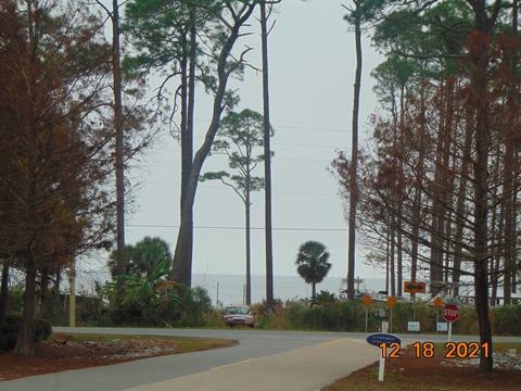 120 Spoonbill Ct, Carrabelle, FL 32322 photo 4