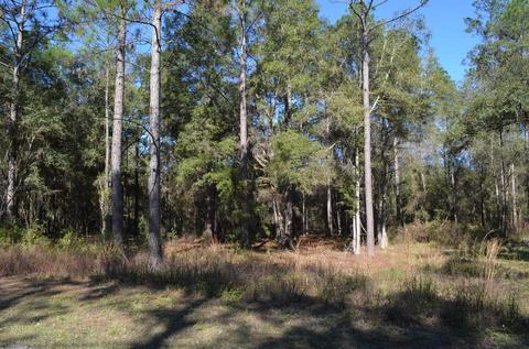 501 Judson Dr, Perry, FL 32348 photo 1