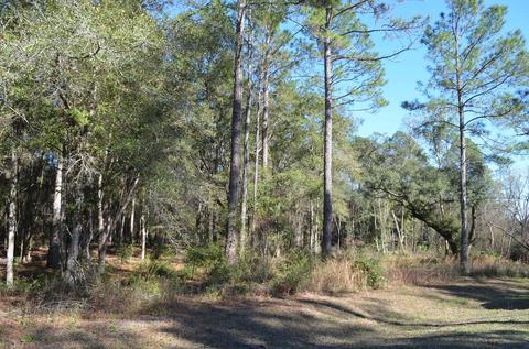 501 Judson Dr, Perry, FL 32348 photo 6