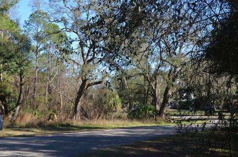 501 Judson Dr, Perry, FL 32348 photo 7